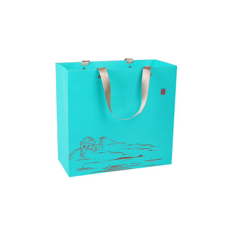 Carry Bags Boutique Shopping Paper Bags With Silk Ribbon Handle